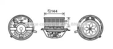 PRASCO MS8608