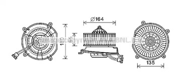 PRASCO MS8674