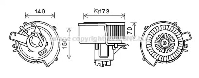 PRASCO OL8639