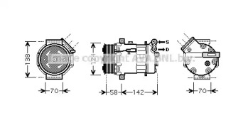 PRASCO OLK448