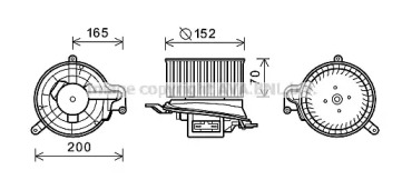 PRASCO RT8519