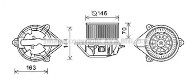 PRASCO RT8577