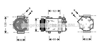 PRASCO RTK039