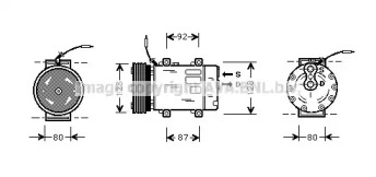 PRASCO RTK243