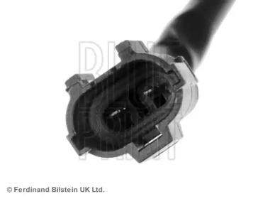 blue print adg01384