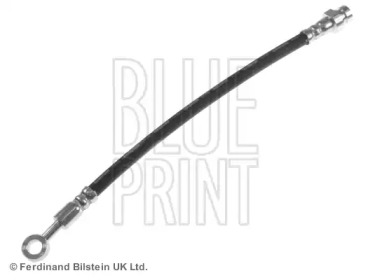 blue print adg053219