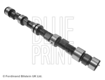 blue print adg06101