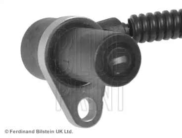 blue print adg07131