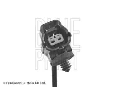 blue print adg07175