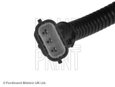 blue print adg07265