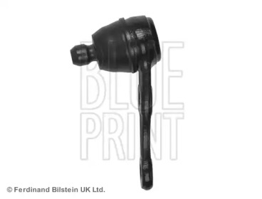 blue print adg08629