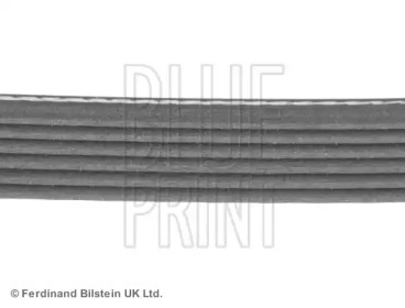 blue print adg09624