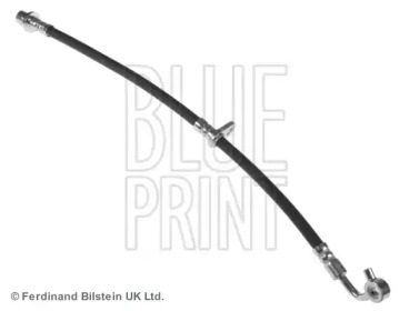 blue print adh253190