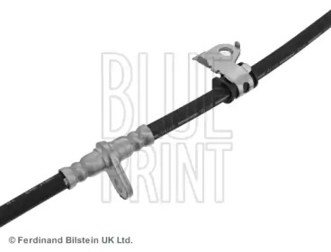 blue print adh25321