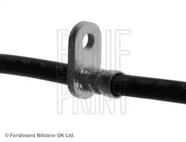 blue print adh25324