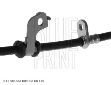 blue print adh25363