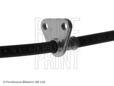 blue print adh25363