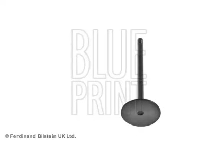 blue print adj136110