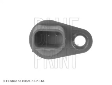 blue print adj137213