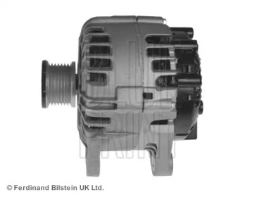 blue print adn111507