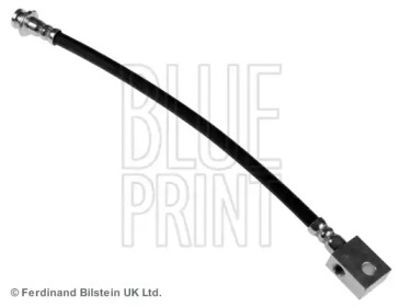BLUE PRINT ADN153164
