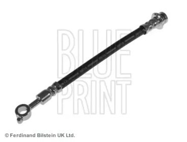 BLUE PRINT ADN153268