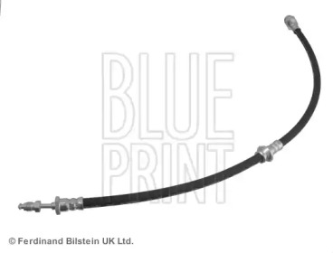 BLUE PRINT ADN153278