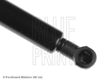 blue print adn15818