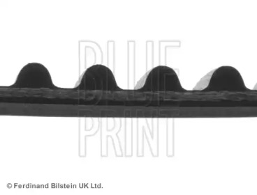 blue print adn17515