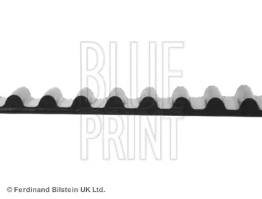 blue print adn17519
