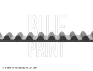 blue print adn17525