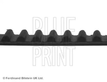 blue print adn17536