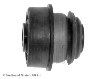 blue print adn18005