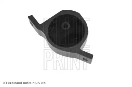 blue print adn180147