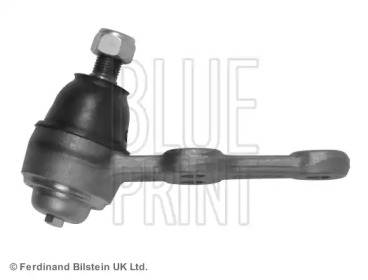 blue print adn18609