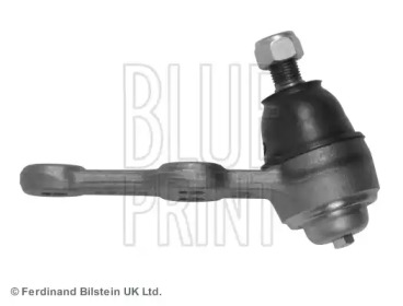 blue print adn18609