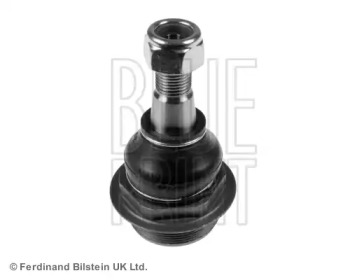 blue print adn186123