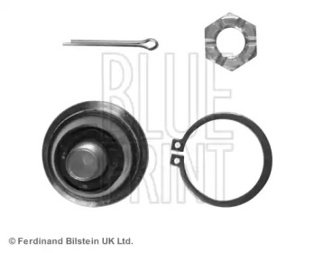 blue print adn18631