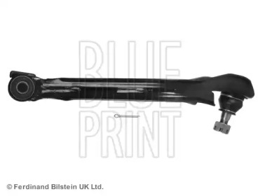 blue print adn18659