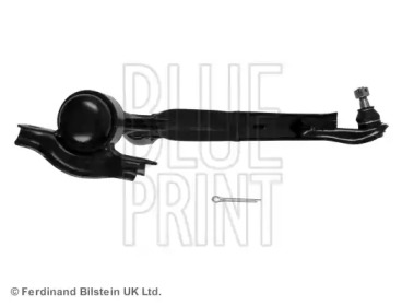 blue print adn18663