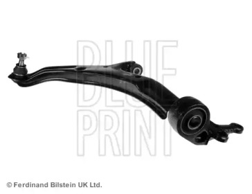 blue print adn18679