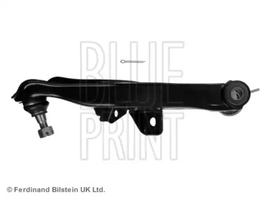 blue print adn18681