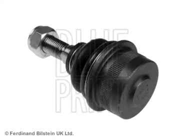 blue print adn18690