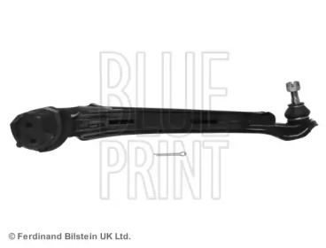 blue print adn18692