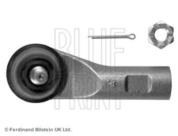 blue print adn187165