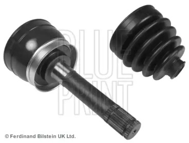 blue print adn18956