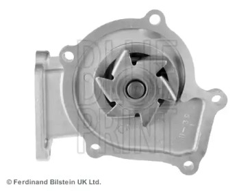 blue print adn19117
