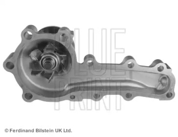 blue print adn19158