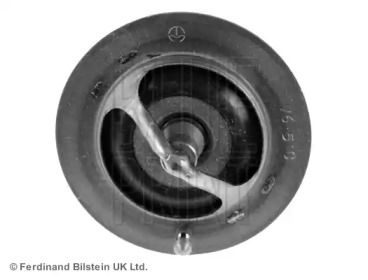 blue print adn19205