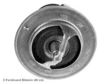blue print adn19206
